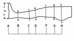 schema_vel